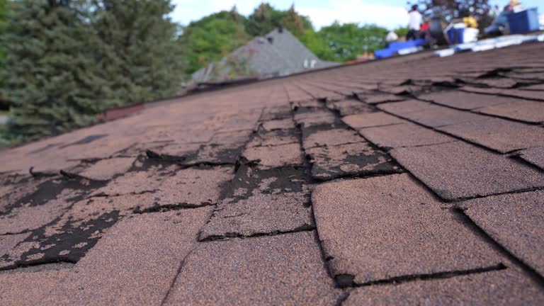 Best Rubber Roofing (EPDM, TPO)  in Attica, MI